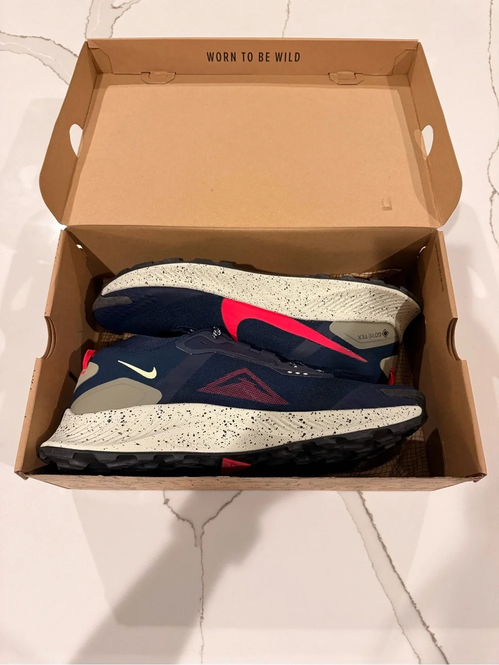 Nike PegasusTrail 3 GORE-TEX
